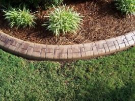 Landscape border