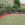concrete curbing