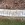 decorative concrete curbing