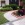 decorative concrete edging