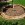 Border Edging