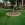 kerbing