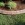 Decorative Concrete Curbing